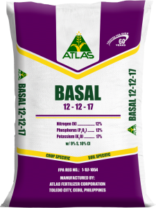 Basal-Purple-Sack-2